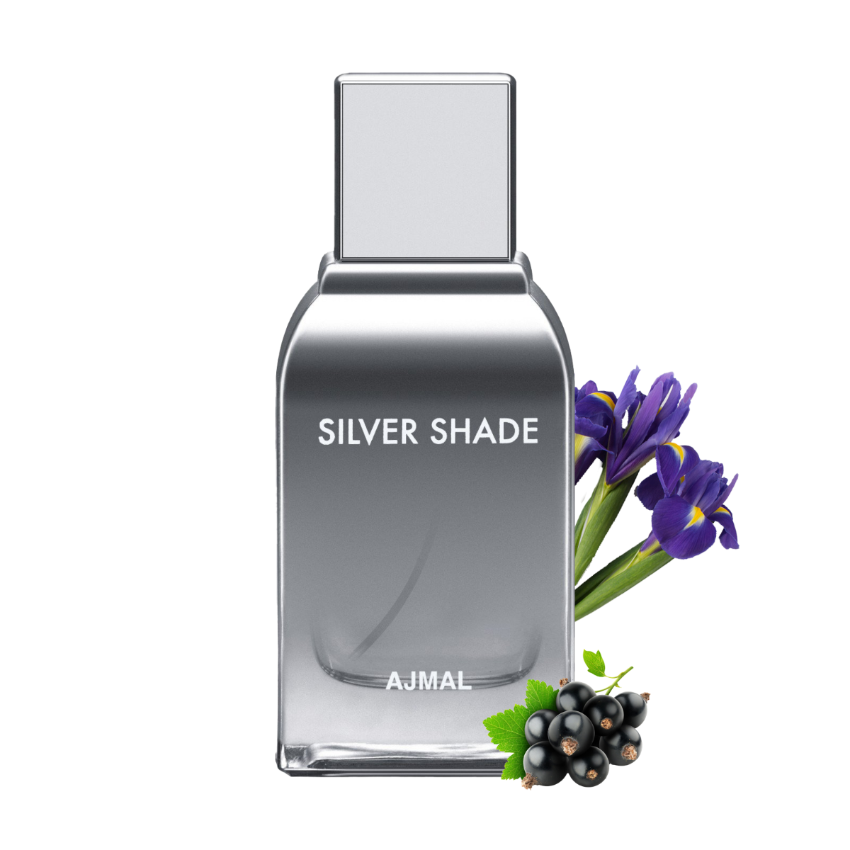 Buy Perfumes Fragrances Online UAE Best Arabic Perfumes