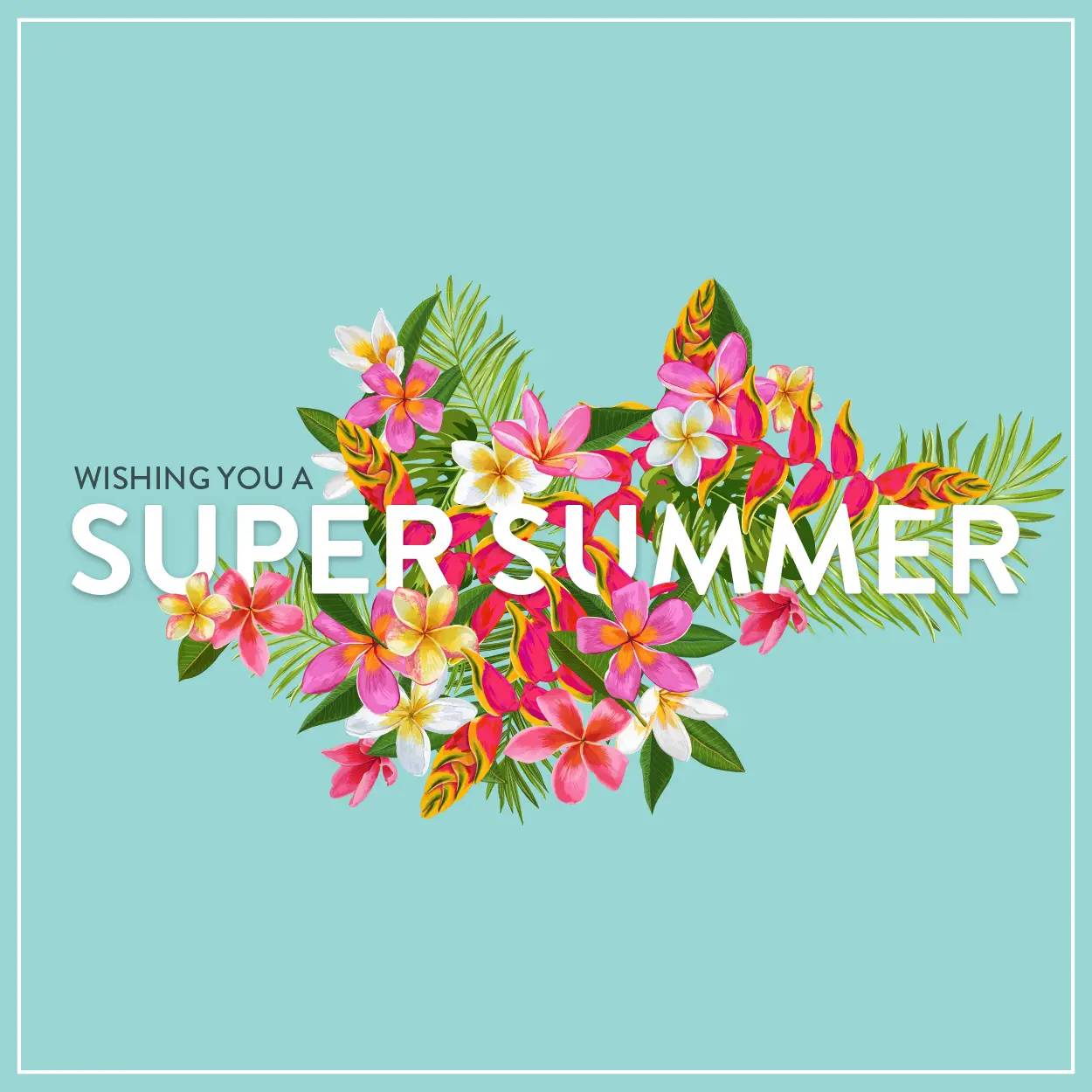 Need the best Summer Fragrances?