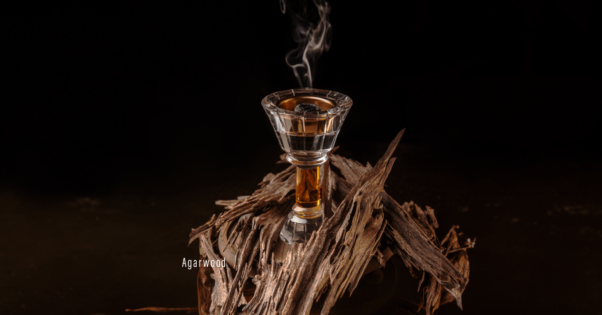Agarwood
